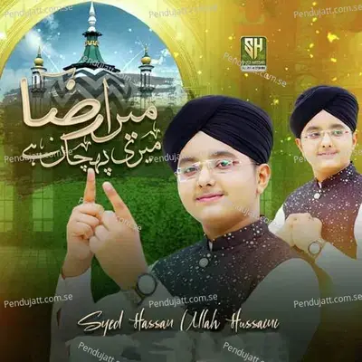 Mera Raza Meri Pehchan Hai - Syed Hassan Ullah Hussaini album cover 