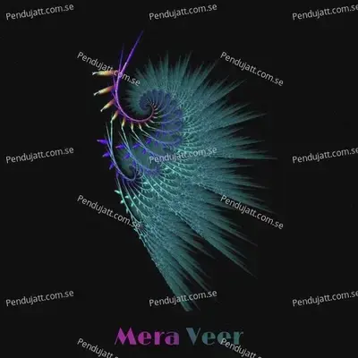 Mera Veer - Shok E album cover 