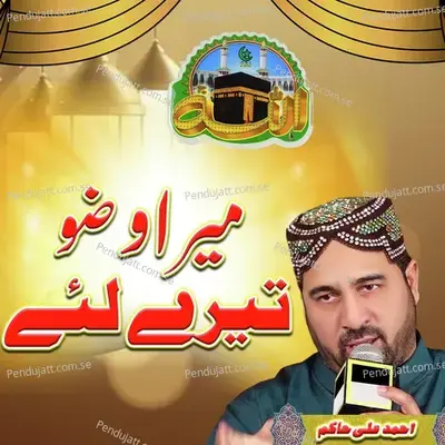 Mera Wazu Tere Liye Hai - Ahmed Ali Hakim album cover 