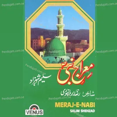 Meraj-E-Nabi - Saleem Shahzad cover album