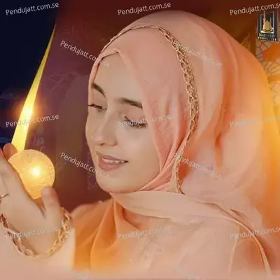 Meraj Wale Aaqa - Syeda Areeba Fatima album cover 
