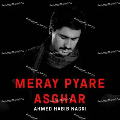 Meray Pyare Asghar - Ahmed Habib Nagri album cover 