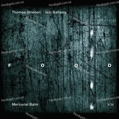 Magnetosphere - Food album cover 