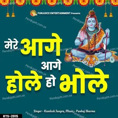 Mere Aage Aage Hole Ho Bhole - Kamlesh Jangra album cover 