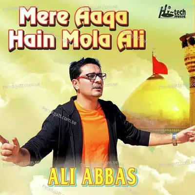 Mere Aaqa Hain Mola Ali - Ali Abbas album cover 