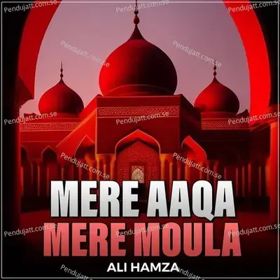 Mere Aaqa Mere Moula - Ali Hamza album cover 