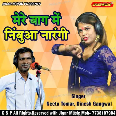 Mere Baag Main Nimbua Narangi - Neetu Tomar Dinesh Gangwal album cover 