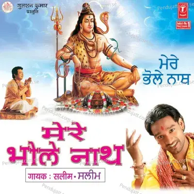 Mere Shankara - Saleem-Parvez album cover 