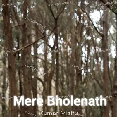 Mere Bholenath - Kumar Vishu album cover 