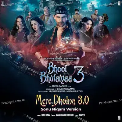 Mere Dholna 3.0  [From &Quot;Bhool Bhulaiyaa 3&Quot;] - Amaal Mallik album cover 