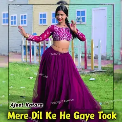 Mere Dil Ke He Gaye Took - Ajeet Katara album cover 