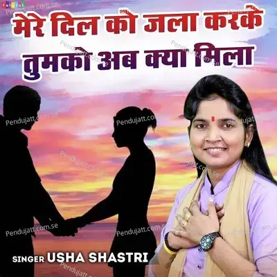 Mere Dil Ko Jala Karke Tumko Ab Kya Mila - Usha Shastri album cover 