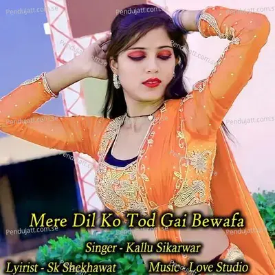 Mere Dil Ko Tod Gai Bewafa - Kallu Sikarwar album cover 