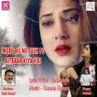 Mere Dil Ne Tujh Pe Aitbaar Kiya Hai - Méhek album cover 