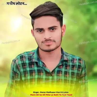 Mere Dil Se Dil Mila Le Nahi To Tuje Yaad - Manor Madhopur Manish Lotan album cover 