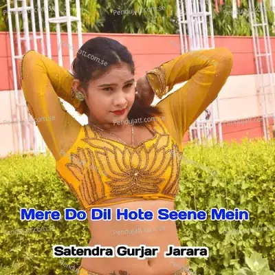 Mere Do Dil Hote Seene Mein - Satendra Gurjar Jarara album cover 