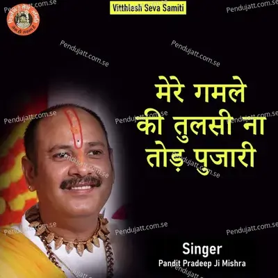 Mere Gamle Ki Tulsi Na Tod Pujari - Pandit Pradeep Ji Mishra