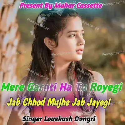 Mere Garnti Ha Tu Royegi Jab Chhod Mujhe Jab Jayegi - Lovekush Dungri album cover 