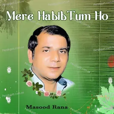 Mere Habib Tum Ho - Masood Rana album cover 