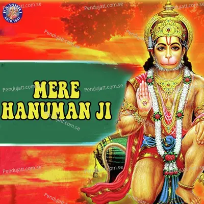 Hanuman Mantra 108 Times - Ketan Patwardhan album cover 