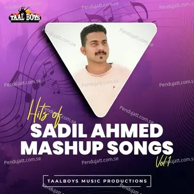 Mere - Sadil Ahmed album cover 