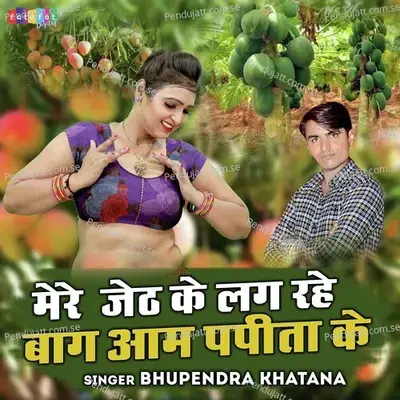 Mere Jetha Ke Lag Rahe Baag Aam Papita  Ke - Bhupendra Khatana album cover 