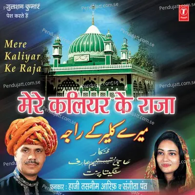 Dil Gamzada Hai - Haji Tasneem Aarif album cover 