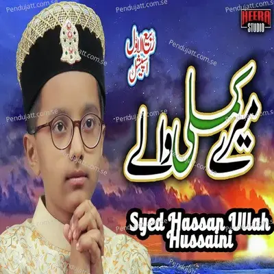 Mere Kamli Walay - Syed Hassan Ullah Hussaini album cover 