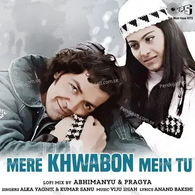 Mere Khwabon Mein Tu  Lofi Mix  - Alka Yagnik