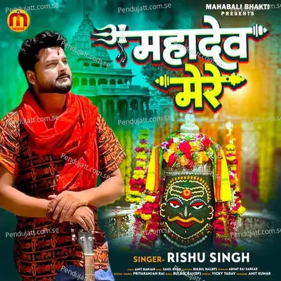 Mere Mahadev - Rishu Singh album cover 