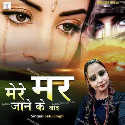 Mere Mar Jane Ke Bad - Setu Singh album cover 