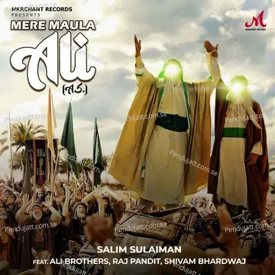 Mere Maula Ali A s - Salim-Sulaiman album cover 