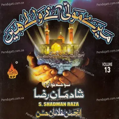 Abbas Ko Haathon Ka Sahara Koi Dede - Shadman Raza album cover 