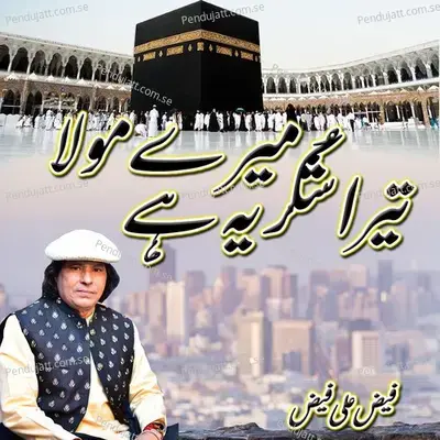 Mere Moula Tera Shukarya Hai - Faiz Ali Faiz album cover 