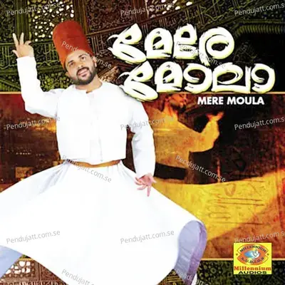 Nagame - Sakeer Aluva album cover 