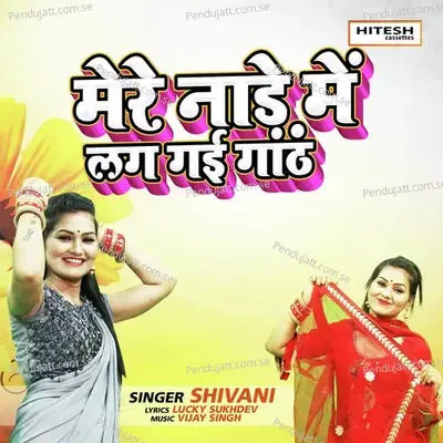 Mere Nade Mein Lag Gayi Gath - Shivani album cover 