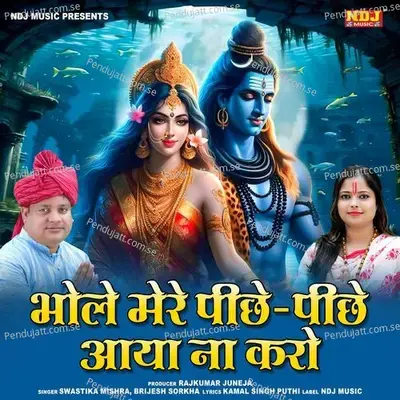 Mere Pichhe Pichhe Aaya Na Karo - Brijesh Sorkha album cover 