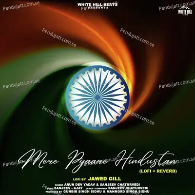 Mere Pyaare Hindustan - Sanjeev Chaturvedi album cover 