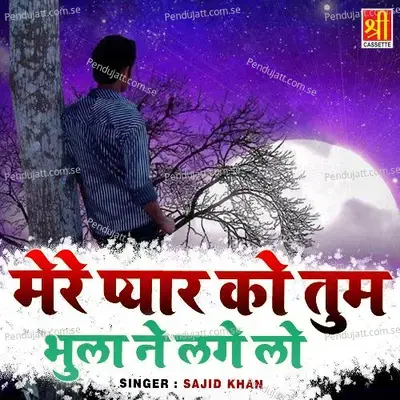 Mere Pyar Ko Tum Bhula Ne Lage Lo - Sajid Khan album cover 