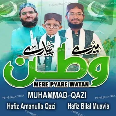 Mere Pyare Watan - Hafiz Amanullah Qazi album cover 