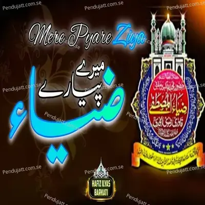 Mere Pyare Ziya Mere Pyare Ziya - Hafiz Ilyas Barkati album cover 