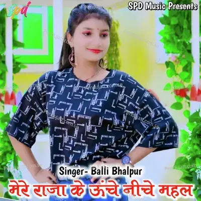 Mere Raja Ke Uche Niche Mahal - Balli Bhalpur album cover 