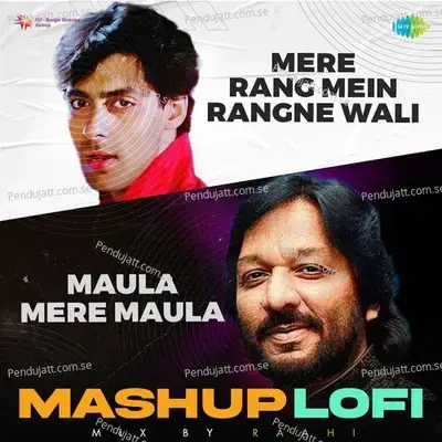 Mere Rang Mein Rangne Wali X Maula Mere Maula Lofi Mashup - Roopkumar Rathod album cover 