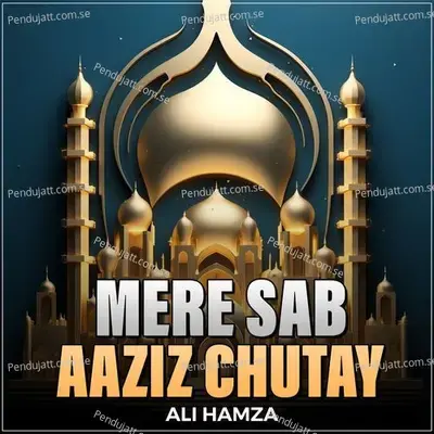 Mere Sab Aaziz Chutay - Ali Hamza album cover 
