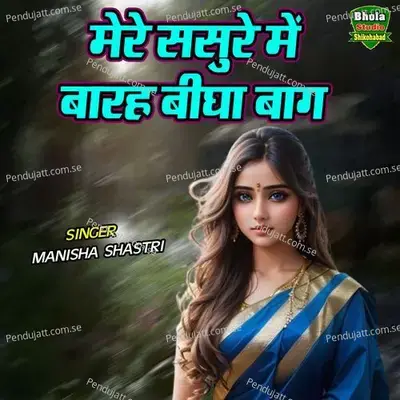 Mere Sasure Main Barah Beegha Baag - Manisha Shastri album cover 