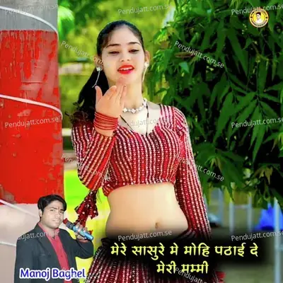 Mere Sasure Me Mohi Pathai De Meri Mammi - Manoj Baghel album cover 