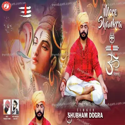 Mere Shankra - Shubham Dogra album cover 