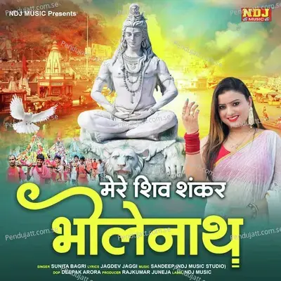 Mere Shiv Sankar Bhole Nath - Sunita Bagri album cover 