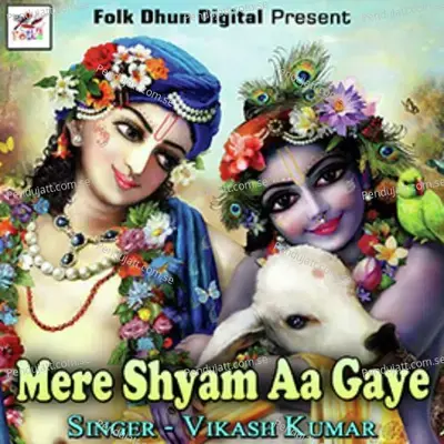 Mere Shyam Aa Gaye - Vikash Kumar album cover 