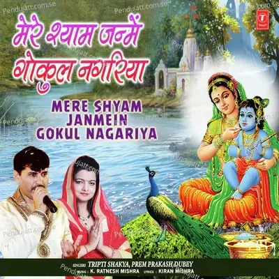 Mere Shyam Janmein Gokul Nagariya - Tripti Shakya album cover 
